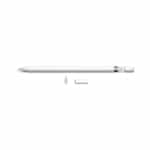 Apple Pencil  Accesorio