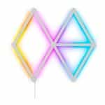 Nanoleaf lines starter kit 9 unidades - Paneles LED