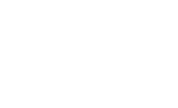 Software AMD Radeon™ serie RX 7000