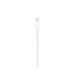 Apple Lightning to USB Cable 05m