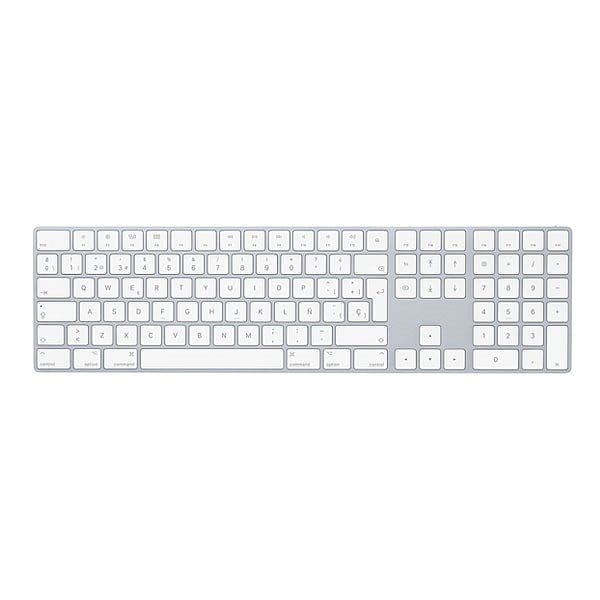 Apple Magic Keyboard plata  Teclado