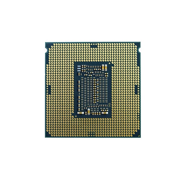 Intel Pentium Gold G5620 400GHz  Procesador