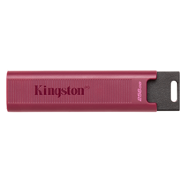 Kingston Technology DataTraveler Max unidad flash USB Type A 256 GB  Pendrive