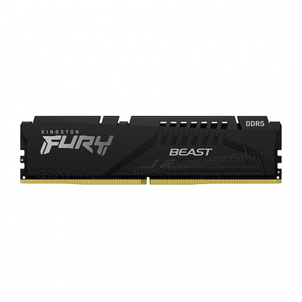 Kingston Fury Beast DDR5 8GB 4800MHZ CL38  Memoria RAM