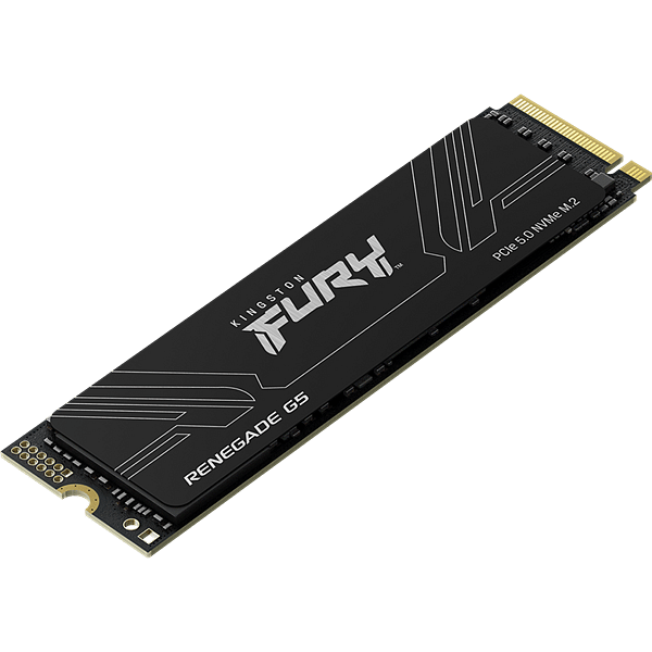 Kingston Fury Renegade G5 1TB  SSD M2 PCIe 50 NVMe