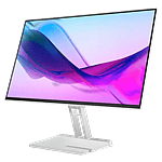 Lenovo L24i-4A Monitor