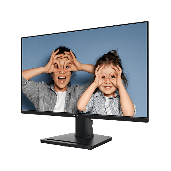 MSI Pro MP251  Monitor 245 IPS 100Hz 1ms HDM VGA