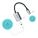 ITec USBC a Display Port  Adaptador