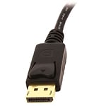 StarTechcom Adaptador de Vídeo DisplayPort a DVI