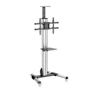 StarTechcom Estante para TV 32  75 ruedas  Soporte TV