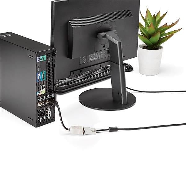 StarTechcom Displayport a DVI  Adaptador