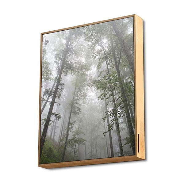 Energy Sistem Frame Speaker Forest 50W  Altavoz Bluetooth