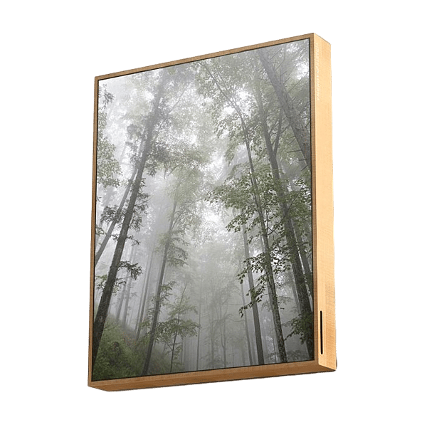 Energy Sistem Frame Speaker Forest 50W  Altavoz Bluetooth