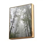 Energy Sistem Frame Speaker Forest 50W  Altavoz Bluetooth