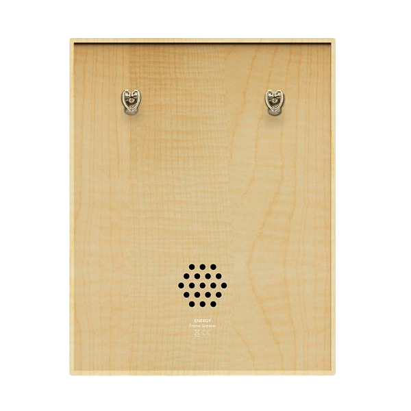 Energy Sistem Frame Speaker Forest 50W  Altavoz Bluetooth