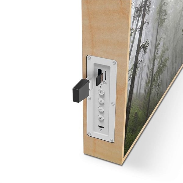 Energy Sistem Frame Speaker Forest 50W  Altavoz Bluetooth