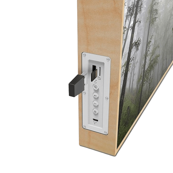 Energy Sistem Frame Speaker Forest 50W  Altavoz Bluetooth