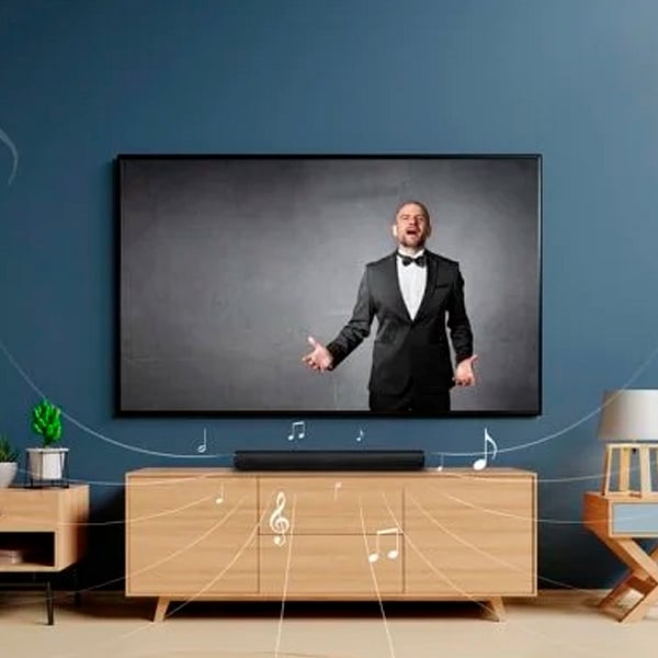 Scheneider SC300SND Negro  Barra de sonido