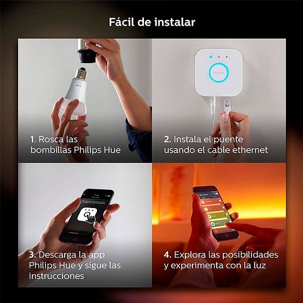 Philips Hue WA LRK 95W A19 E27 Regulador  Bombilla