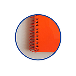 Cuaderno Oxford Touch EuropeanBook 1 A4 80h 90gr Naranja Cuaderno Oxford Touch EuropeanBook 1 A4 80h 90gr Naranja