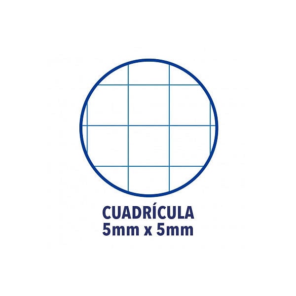 Cuaderno Oxford Touch EuropeanBook 1 A4 80h 90gr Malva