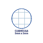 Cuaderno Oxford Touch EuropeanBook 1 A4 80h 90gr Azul Past Cuaderno Oxford Touch EuropeanBook 1 A4 80h 90gr Azul Past