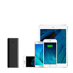 Anker PowerCore 15600 mAh negra  Powerbank
