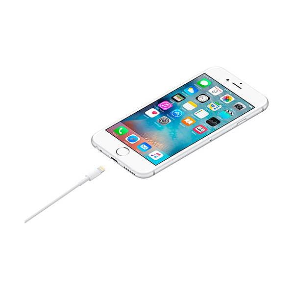 Apple Lightning to USB Cable 05m