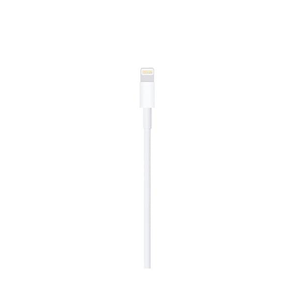 Apple Lightning to USB Cable 05m