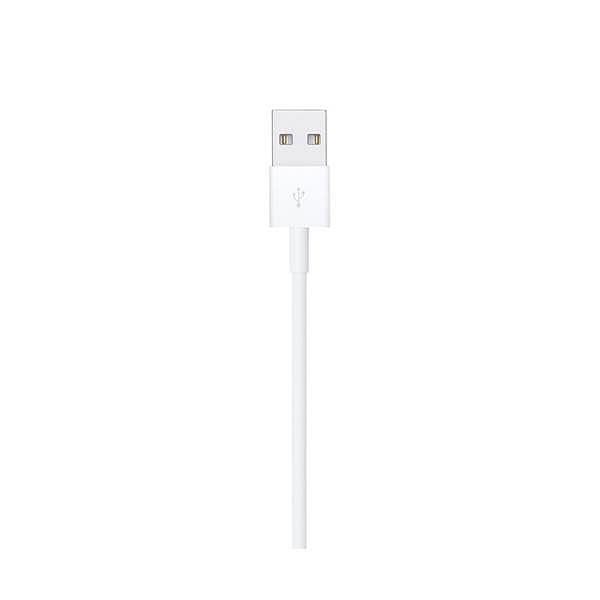 Apple Lightning to USB Cable 05m