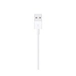 Apple Lightning to USB Cable 05m