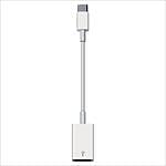 Apple Cable Adaptador USBC a USB  Adaptador