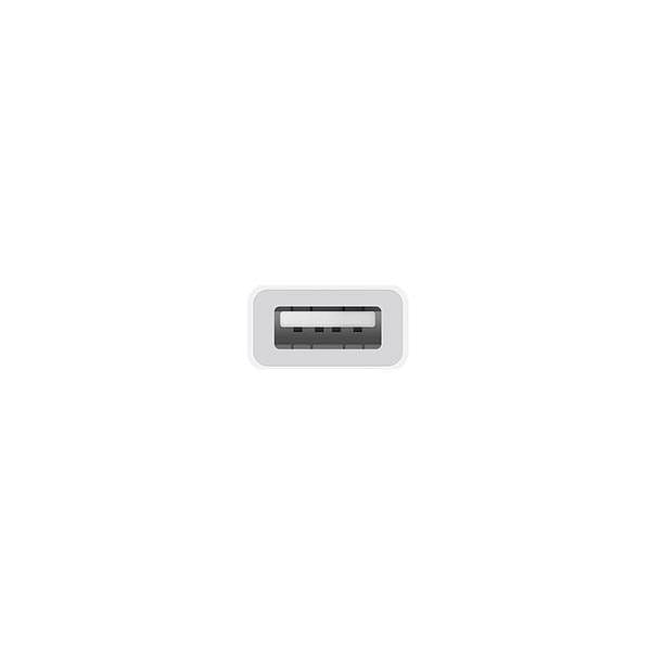 Apple Cable Adaptador USBC a USB  Adaptador