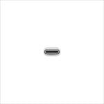 Apple Cable Adaptador USBC a USB  Adaptador