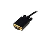 StarTechcom Cable de Vídeo Adaptador Conversor DisplayPort