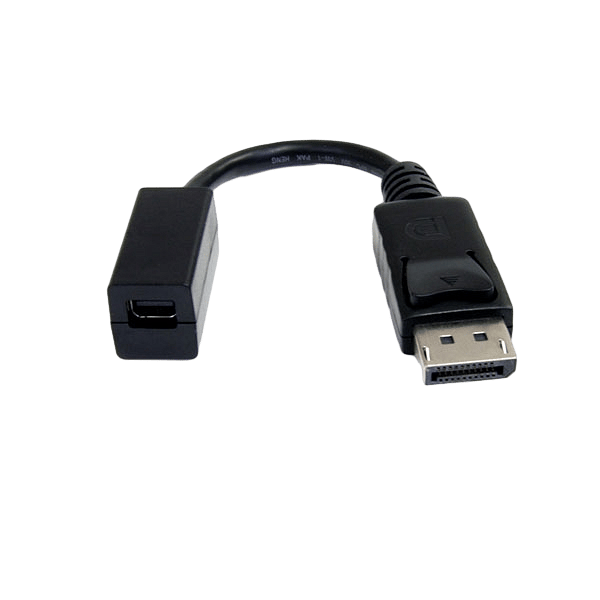 StarTechcom DisplayPort a Mini DisplayPort  Cable