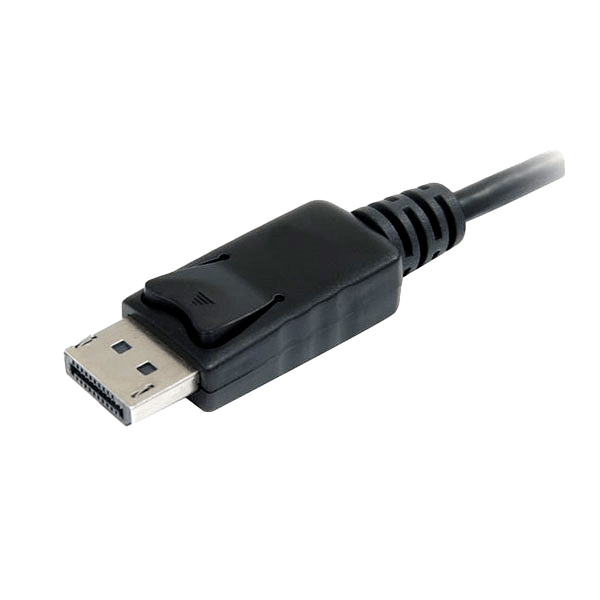 StarTechcom DisplayPort a Mini DisplayPort  Cable