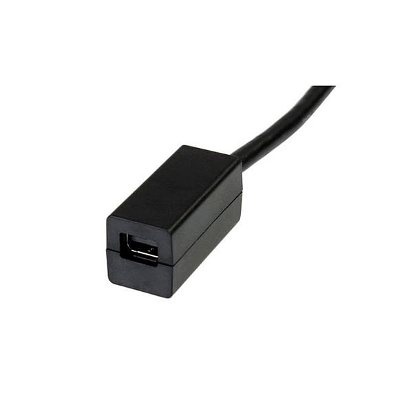 StarTechcom DisplayPort a Mini DisplayPort  Cable