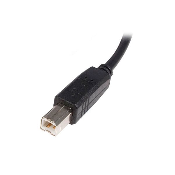 StarTechcom Cable USB A a B 2m  Cable