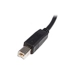 StarTechcom Cable USB A a B 2m  Cable