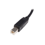 StarTechcom Cable USB A a B 2m  Cable