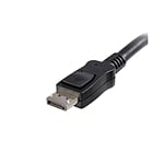 StarTechcom DisplayPort 12 4k machomacho 3m  Cable