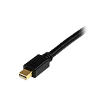 StarTechcom Adaptador de Vídeo Mini DP 18m  Cable