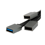 Conceptronic HUBBIES01G USBC a 2 USB 301 USB 20 Gr  Hub