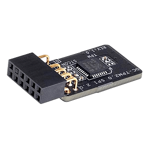 Gigabyte GCTPM20 Placa Base para Windows  Adaptadores Internos