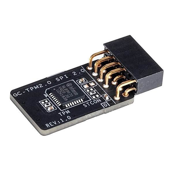 Gigabyte GCTPM20 Placa Base para Windows  Adaptadores Internos