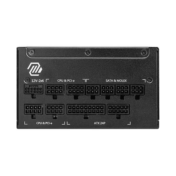 MSI MAG A1250P 1250W 80 Plus Platinum PCIe 5  Fuente de alimentación Full Modular
