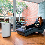 Cecotec Big Dry 9000 Professional Black Depósito 45L  Deshumidificador