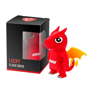 MSI Lucky USB 64GB 30  Gadget