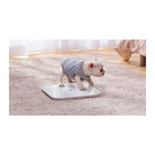 Xiaomi Mi Smart Scale 2 Bluetooth  Báscula